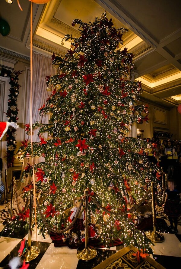 Ξενοδοχείο Μεγάλη Βρεταννία: Φωταγώγηση του Χριστουγεννιάτικου δέντρου