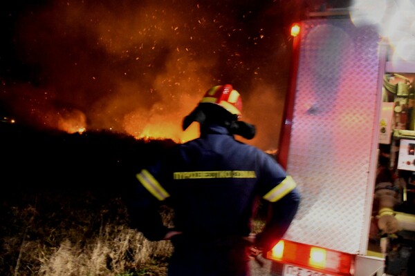Πυρκαγιά στην Αργολίδα - Κινητοποίηση της πυροσβεστικής