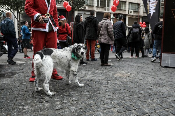 Santa Run: Αγιοβασίληδες τρέχουν στο κέντρο της Αθήνας - ΦΩΤΟΡΕΠΟΡΤΑΖ