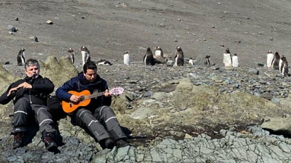 Συναυλία για πιγκουίνους και φώκιες στην Ανταρκτική