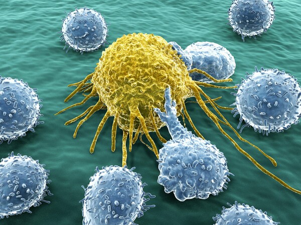 Καρκίνος: Μια ανακάλυψη για το ανοσοποιητικό σύστημα «ίσως βοηθήσει στην αντιμετώπιση όλων των μορφών»