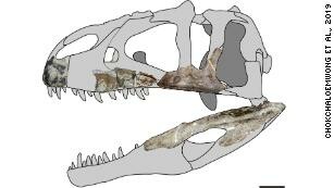 Νέο είδος δεινοσαύρου «με δόντια σαν του καρχαρία» ανακαλύφθηκε στην Ταϊλάνδη