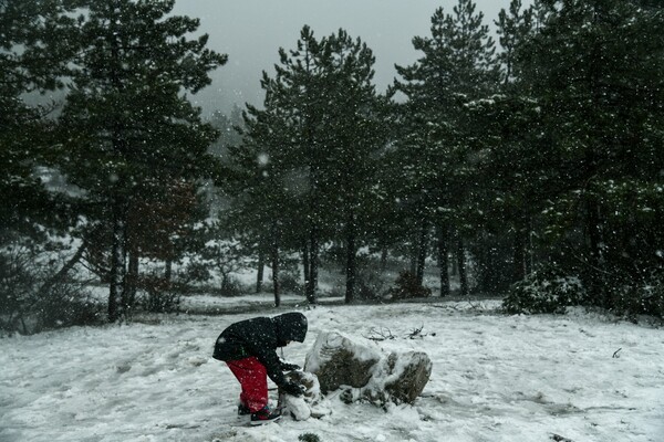 Το έστρωσε για τα καλά στην Πάρνηθα: Βόλτα και χιονοπόλεμος στο βουνό