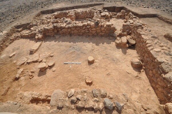 Αρχαία πορφύρα και κοσμήματα: «Στο φως» μινωικός οικισμός στη Χρυσή Λασιθίου