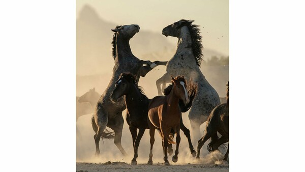 Travel Photographer of the Year 2019: Όλες οι φωτογραφίες που ξεχώρισαν, συζητήθηκαν και συγκίνησαν