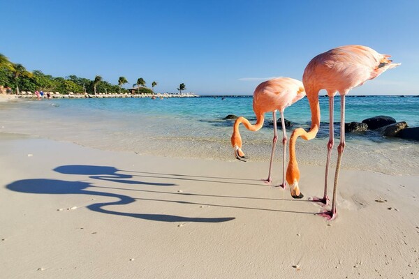 Travel Photographer of the Year 2019: Όλες οι φωτογραφίες που ξεχώρισαν, συζητήθηκαν και συγκίνησαν