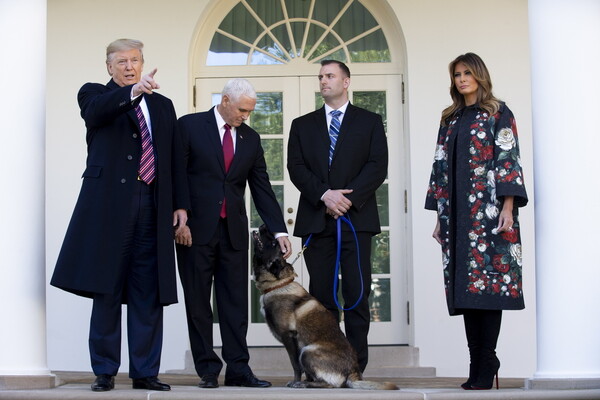 Ο Τραμπ παρουσίασε τον ήρωα σκύλο της εξόντωσης του ηγέτη του ISIS - Απόλαυσε χάδια στον Λευκό Οίκο