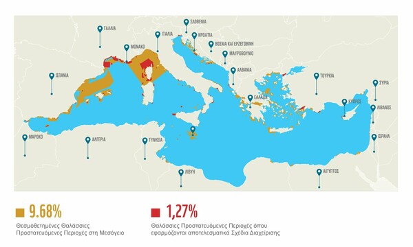 WWF: Η Μεσόγειος είναι σχεδόν ολοκληρωτικά απροστάτευτη