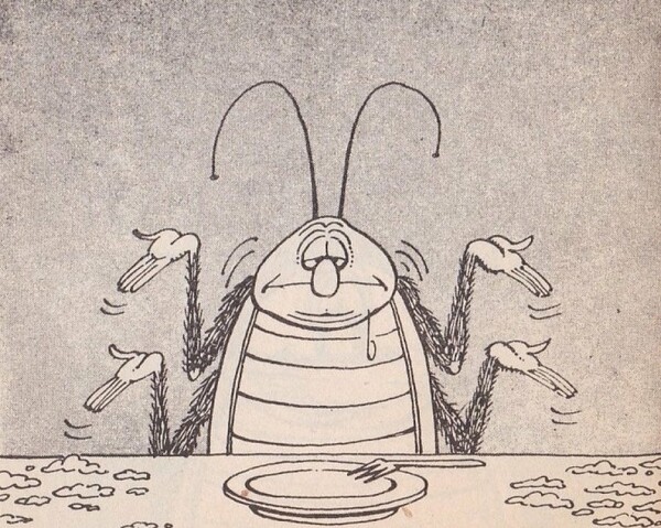 Οι κατσαρίδες προκαλούν φόβο και αηδία, αλλά ένα κόμικ ίσως βοηθήσει να τις δούμε πιο χαλαρά