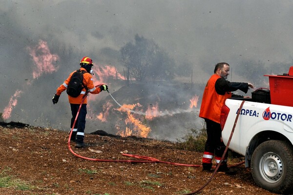 Πυρκαγιά στις Κεχριές: Δύσκολη μάχη με τις φλόγες - Εκκενώθηκαν 5 οικισμοί