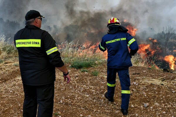 Πυρκαγιά στις Κεχριές: Δύσκολη μάχη με τις φλόγες - Εκκενώθηκαν 5 οικισμοί