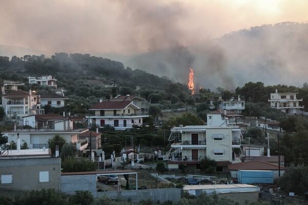 Πυρκαγιά στις Κεχριές: Δύσκολη μάχη με τις φλόγες - Εκκενώθηκαν 5 οικισμοί