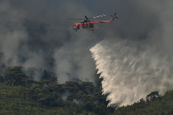 Άγιο Όρος: Πυρκαγιά σε δυσπρόσιτο σημείο - Μεγάλη κινητοποίηση της πυροσβεστικής