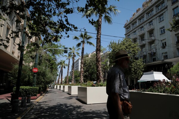 Φοίνικες στην Πανεπιστημίου - Για τον «Μεγάλο Περίπατο» της Αθήνας