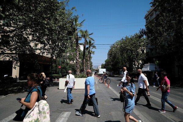 Φοίνικες στην Πανεπιστημίου - Για τον «Μεγάλο Περίπατο» της Αθήνας