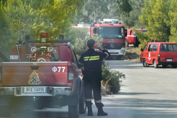 Φωτιά στην Αγία Βαρβάρα - Πυροσβεστικές δυνάμεις στο σημείο