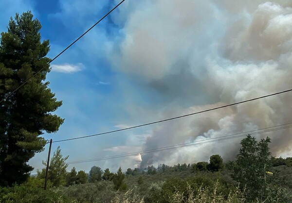 Πυρκαγιά στον Θεολόγο Φθιώτιδας - Επιχείρηση της πυροσβεστικής