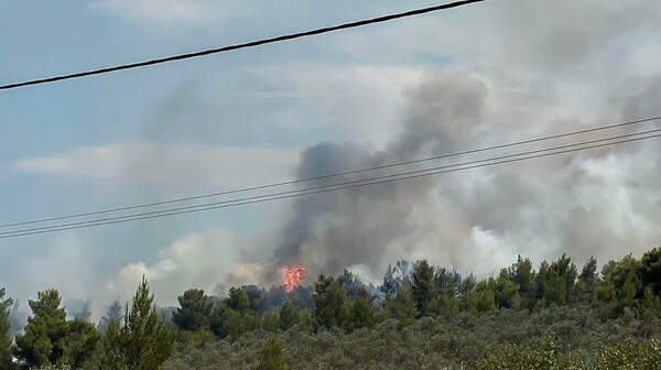 Πυρκαγιά στον Θεολόγο Φθιώτιδας - Επιχείρηση της πυροσβεστικής