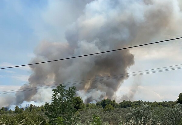 Πυρκαγιά στον Θεολόγο Φθιώτιδας - Επιχείρηση της πυροσβεστικής