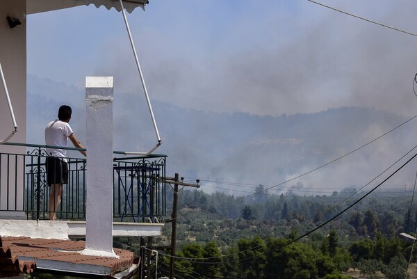 Φωτιά στην Κορινθία: Εκκενώθηκε και 7ος οικισμός - 268 πυροσβέστες στην μάχη με τις φλόγες