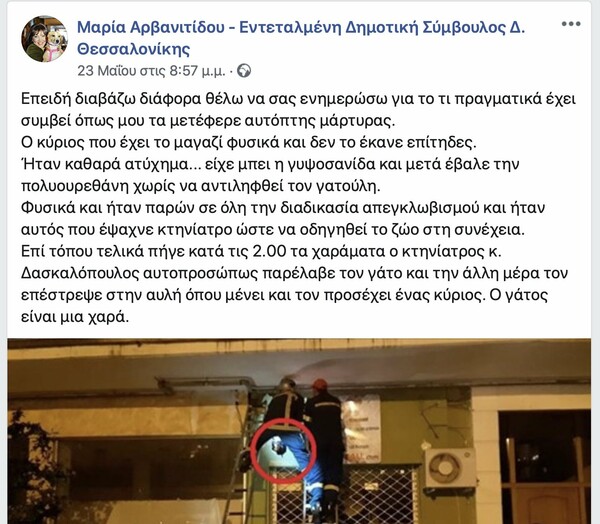 Θεσσαλονίκη: Ζωντανή γάτα βρέθηκε «χτισμένη» σε πρόσοψη κτιρίου- Δραματική διάσωση
