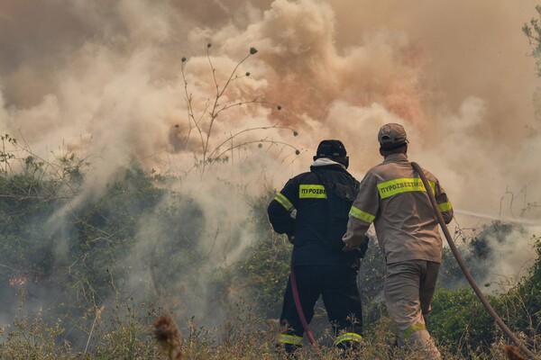 Φωτιά στην Ηλεία: Στις φλόγες έκταση κοντά στο χωριό Χελιδόνι