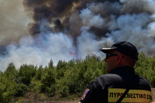 Φωτιά στην Ηλεία: Στις φλόγες έκταση κοντά στο χωριό Χελιδόνι