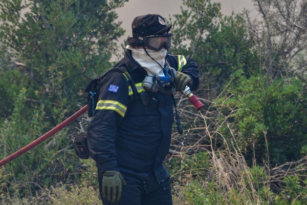 Φωτιά στην Ηλεία: Στις φλόγες έκταση κοντά στο χωριό Χελιδόνι