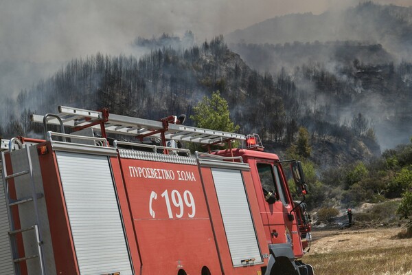 Φωτιά στην Κεφαλονιά: Ισχυρές δυνάμεις στο σημείο - Σε ετοιμότητα οι κάτοικοι στον οικισμό Δοριζάτα