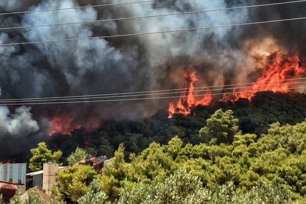 Φωτιά στην Κορινθία: Πύρινο μέτωπο 12 χιλιομέτρων - Προσπαθούν να ανοίξουν αντιπυρικές ζώνες