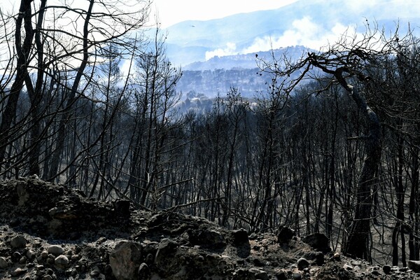 Φωτιά στην Κορινθία: Εκκενώθηκε και 7ος οικισμός - 268 πυροσβέστες στην μάχη με τις φλόγες