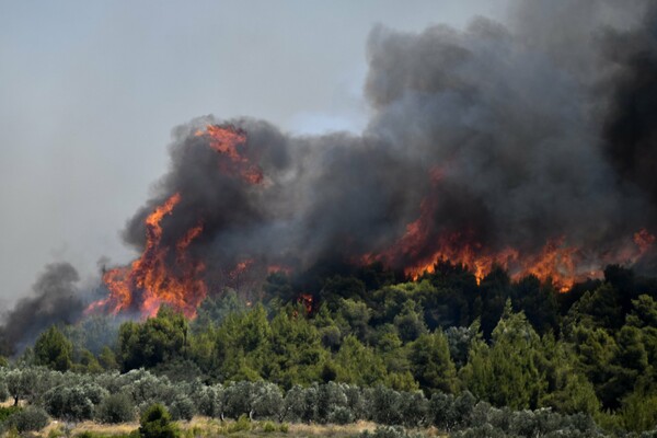 Φωτιά στην Κορινθία: Εκκενώθηκε και 7ος οικισμός - 268 πυροσβέστες στην μάχη με τις φλόγες