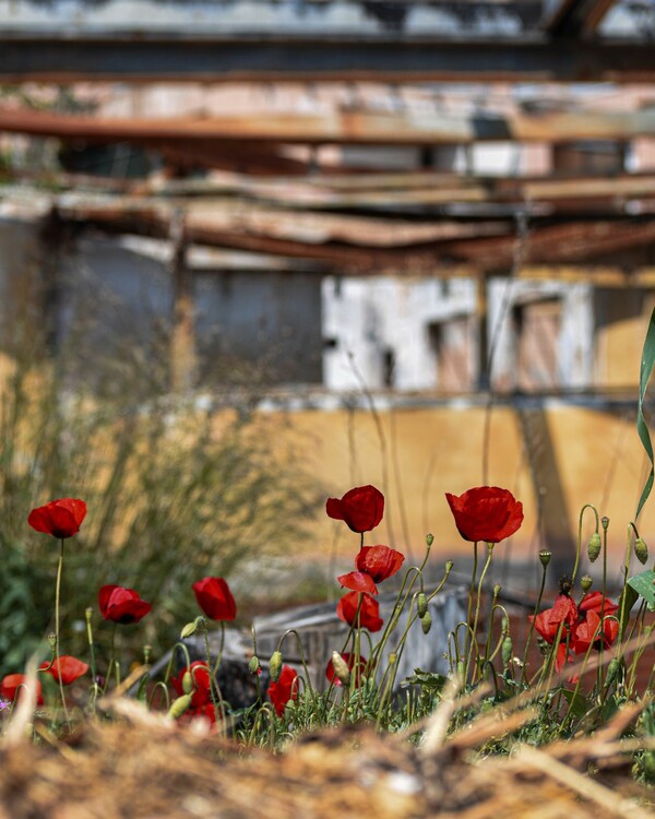 Επιστροφή στην κανονικότητα