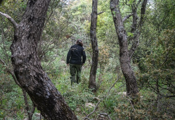 «Nanuu, το κάλεσμα του γκιώνη»