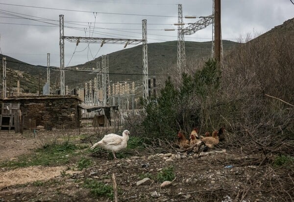 «Nanuu, το κάλεσμα του γκιώνη»