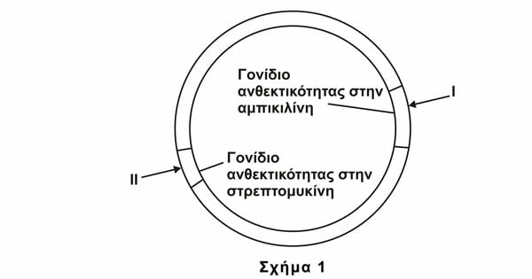 Πανελλαδικές εξετάσεις 2020: Τα θέματα σε Κοινωνιολογία και Βιολογία