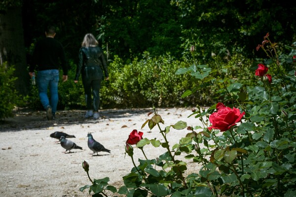 Η Ελλάδα μετά από 42 ημέρες καραντίνας - Η πρώτη μέρα σε εικόνες