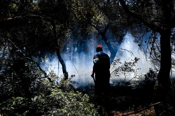 Φωτιά στην Κορινθία: Εκκενώθηκε και 7ος οικισμός - 268 πυροσβέστες στην μάχη με τις φλόγες