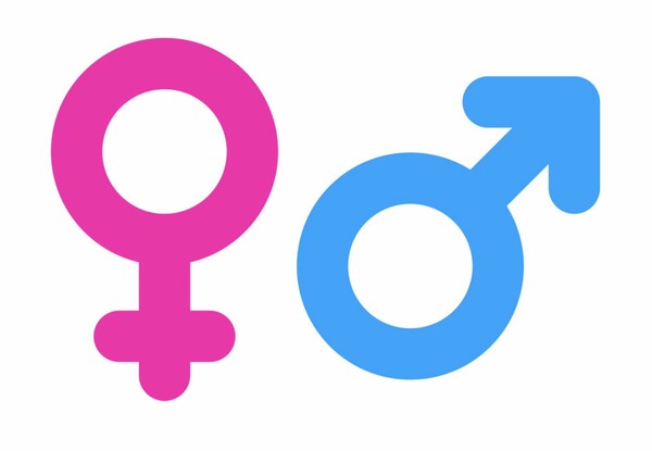 Ολλανδία: Oι ταυτότητες δεν θα αναγράφουν πια το φύλο των πολιτών - «Άχρηστος προσδιορισμός»