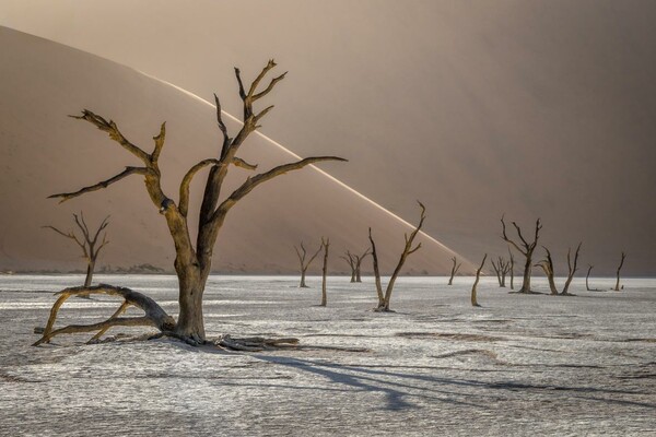 Δείτε τους νικητές του διαγωνισμού «The International Landscape Photographer of the Year»