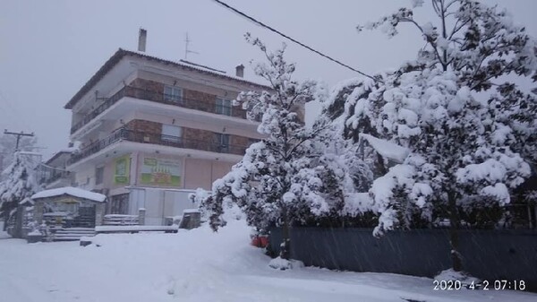 Έντονη χιονόπτωση στα ορεινά της Θεσσαλονίκης - 30 πόντοι χιόνι στον Χορτιάτη