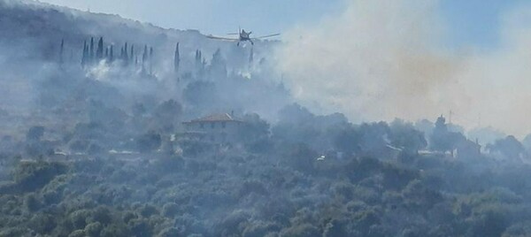 Ζάκυνθος: Μεγάλη φωτιά σε δασική έκταση - Κοντά σε διάσπαρτες κατοικίες