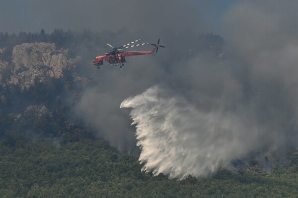 Ζάκυνθος: Πυρκαγιά σε δασική έκταση