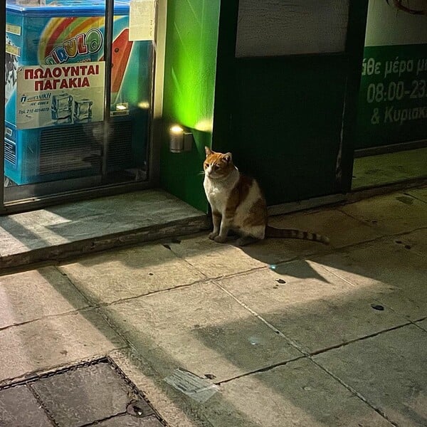 Ο απαρατήρητος θάνατος ενός νεαρού αγοριού