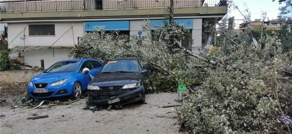 Νέο Ηράκλειο: 3 τραυματίες & καταστροφές από την κακοκαιρία - Πτώσεις δέντρων σε καλώδια και αυτοκίνητα - Ζημιές σε σπίτια