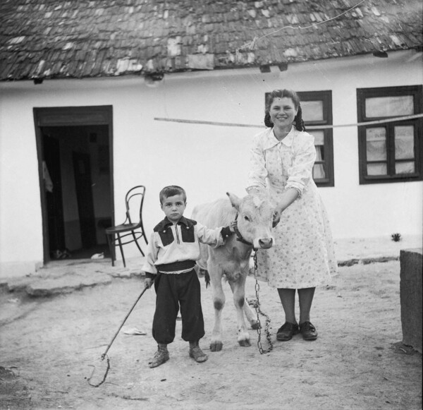 Το φωτογραφικό αρχείο του Zaharia Cuşnir (1912-1993)