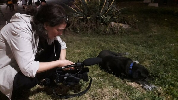 Η ζωή των σκύλων στο κέντρο Αθήνας: ένα road movie για τα αδέσποτα