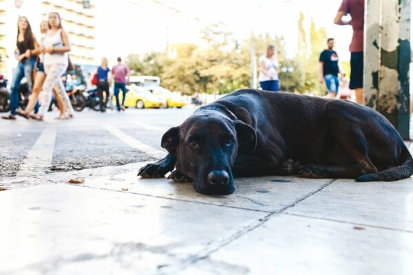 Τι αλλάζει στην Αθήνα το φθινόπωρο;