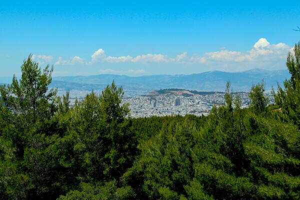 Στο ΣτΕ για τους δασικούς χάρτες: 7 οργανώσεις καταγγέλλουν τις αποφάσεις του υπ. Περιβάλλοντος