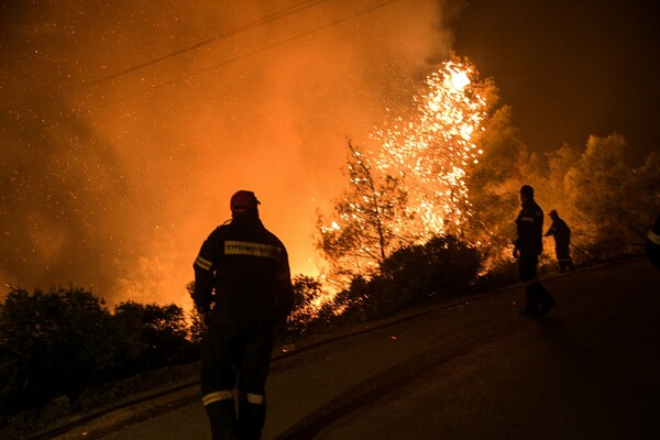 Φωτιά σε δασική έκταση στην Αλεξανδρούπολη - Κοντά σε οικισμούς